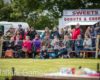 2016 Halkirk Games