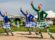 Info for Highland Dancers
